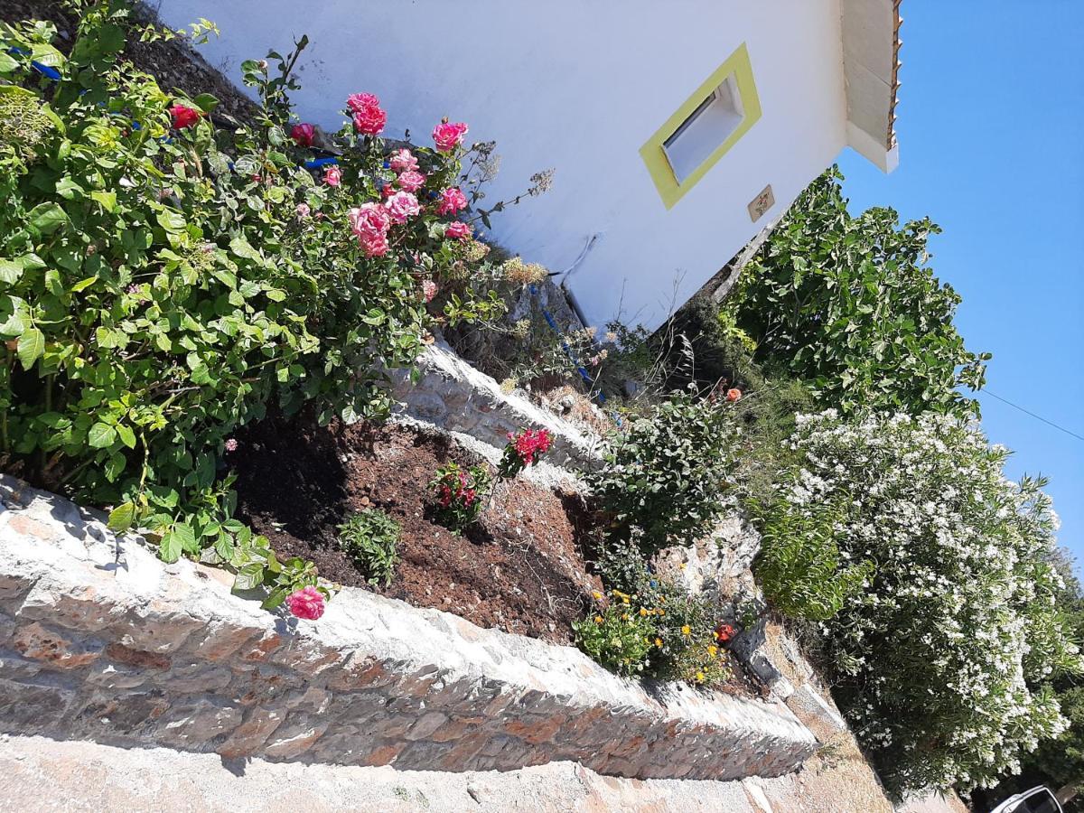 Lemon Garden 1 Villa Karidi Ngoại thất bức ảnh